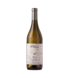 Rượu Vang Trắng Ý Pelissero Rigadin, Langhe DOC