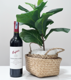 Rượu Vang Đỏ Úc Penfolds Koonunga Hill 2021